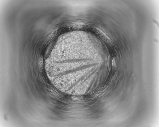 X0000093171299200710241031