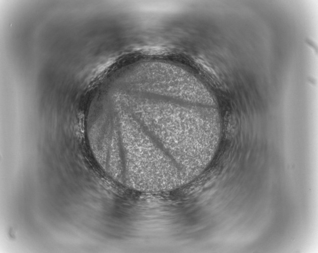 X0000093171301200710241031