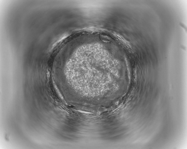 X0000093171302200710241031