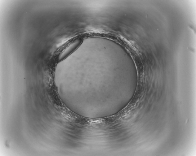 X0000093171303200710241031