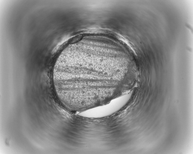 X0000093171304200710241031