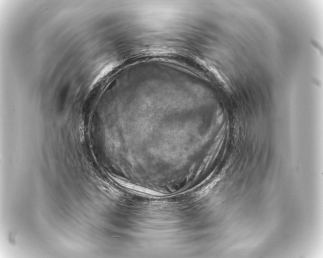 X0000093171306200710241031