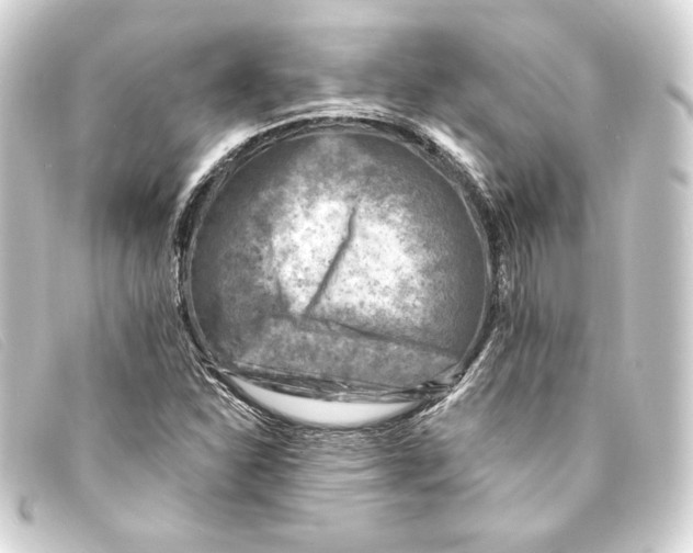 X0000093171310200710241031