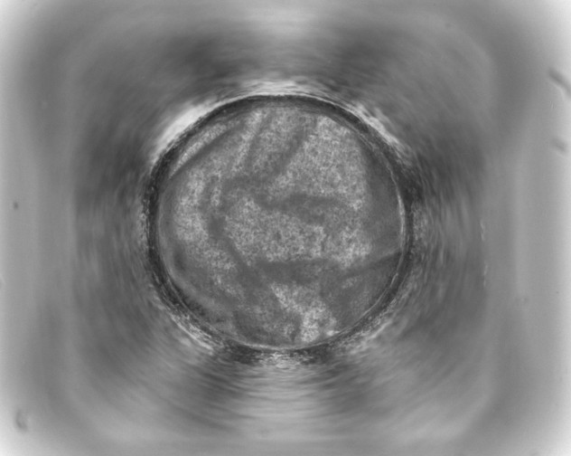 X0000093171311200710241031