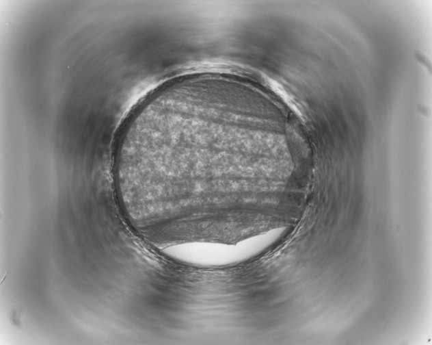 X0000093171312200710241031