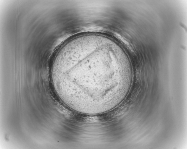 X0000093171315200710241031