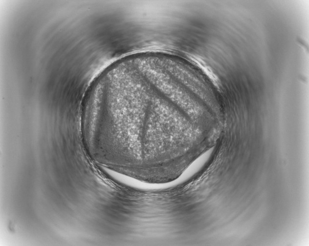 X0000093171316200710241031