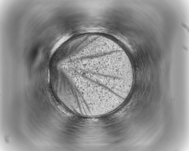 X0000093171317200710241031