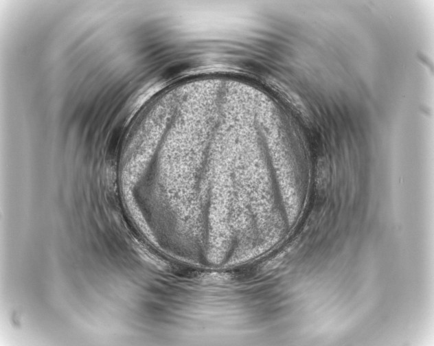 X0000093171321200710241032