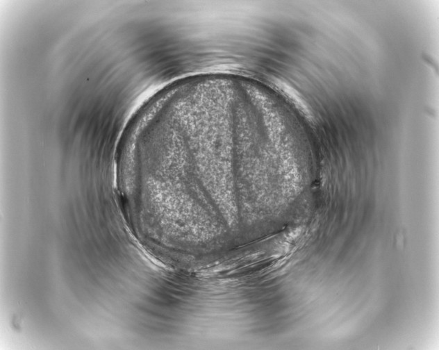 X0000093171324200710241032