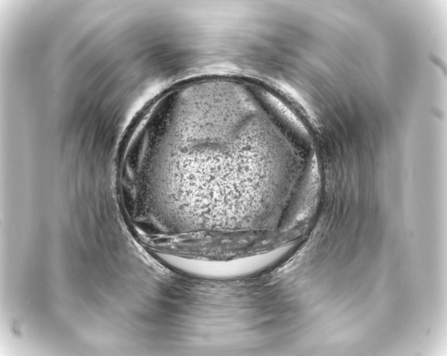 X0000093171326200710241032