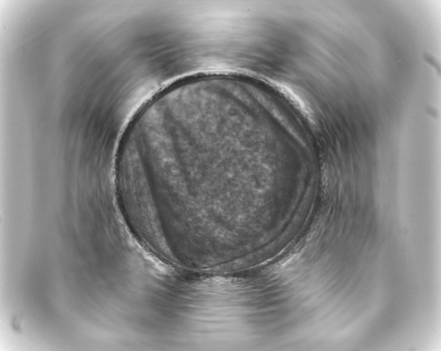 X0000093171327200710241032