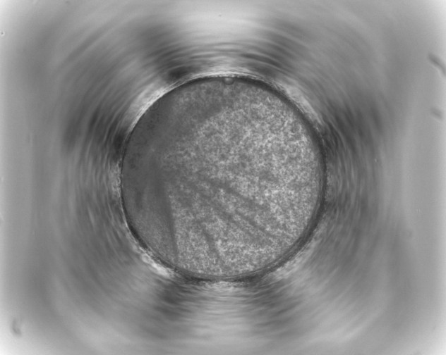 X0000093171329200710241032