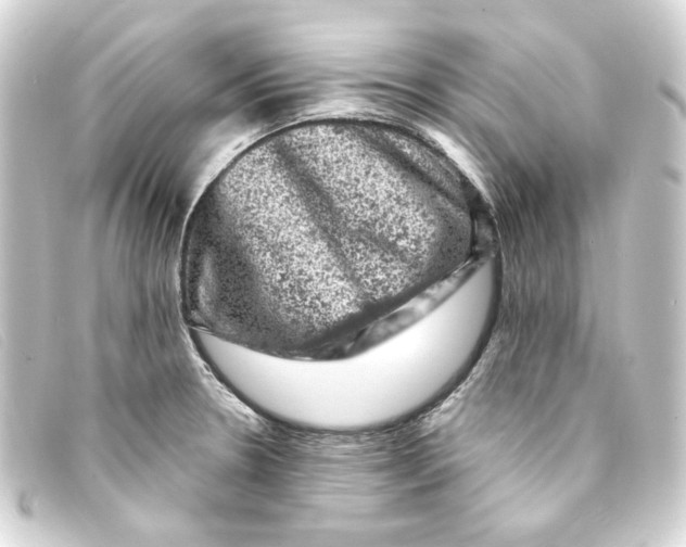 X0000093171330200710241032