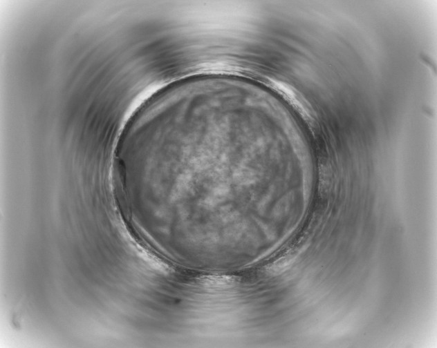 X0000093171331200710241032