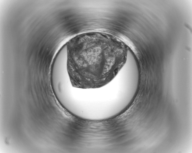 X0000093171332200710241032