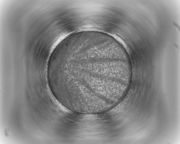 X0000093171333200710241032