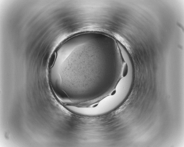 X0000093171334200710241032