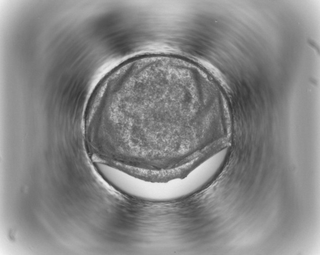 X0000093171335200710241032