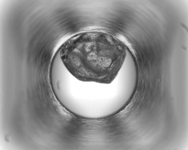 X0000093171336200710241032