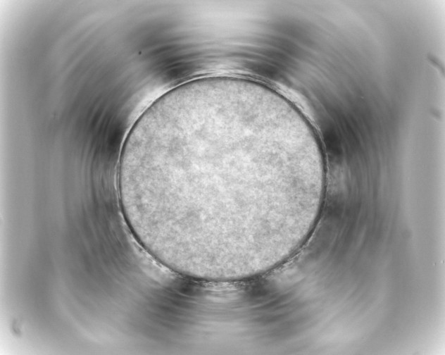 X0000093171338200710241032