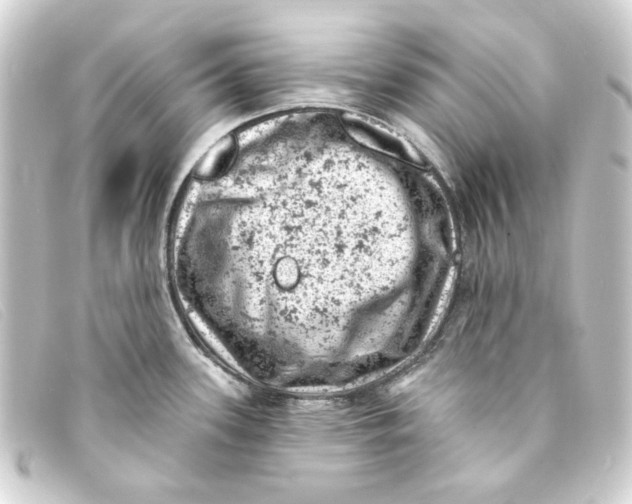 X0000093171339200710241032