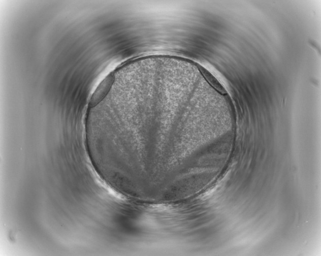 X0000093171341200710241032