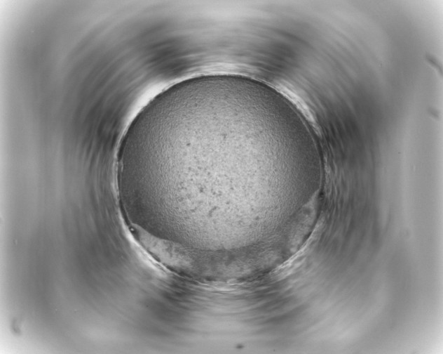 X0000093171342200710241032