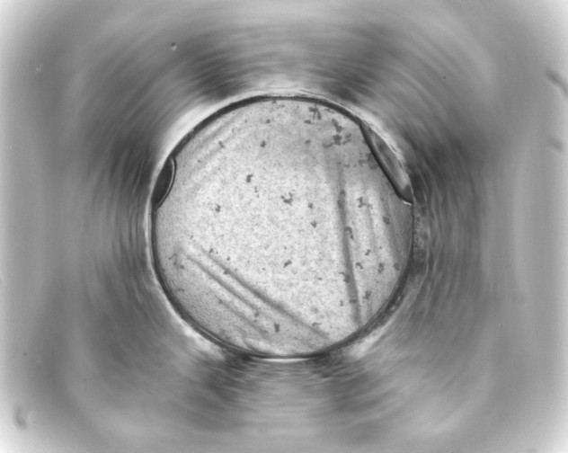 X0000093171343200710241032