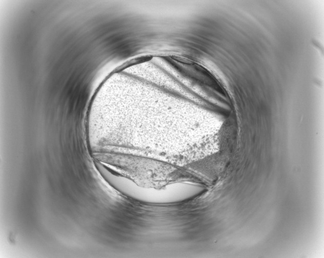 X0000093171344200710241032