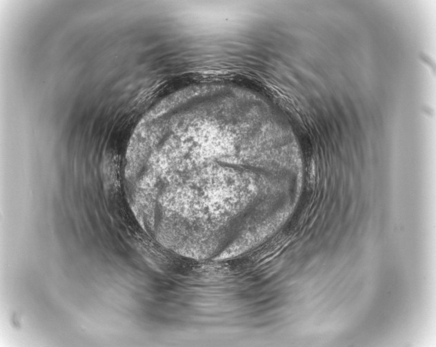 X0000093171346200710241031