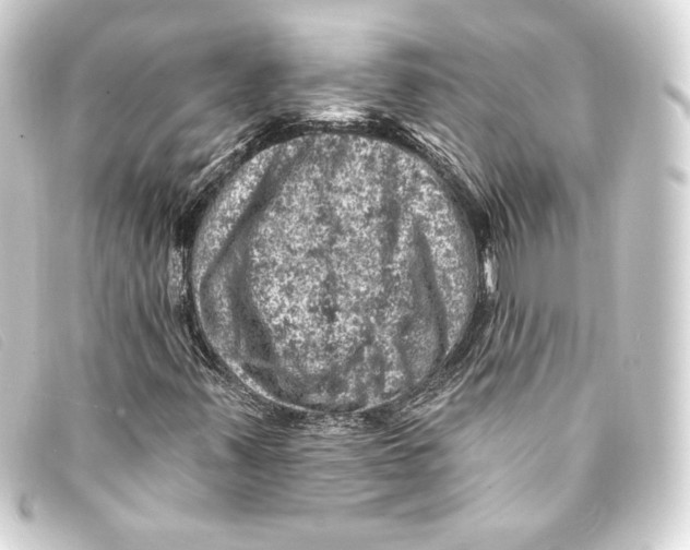 X0000093171347200710241031