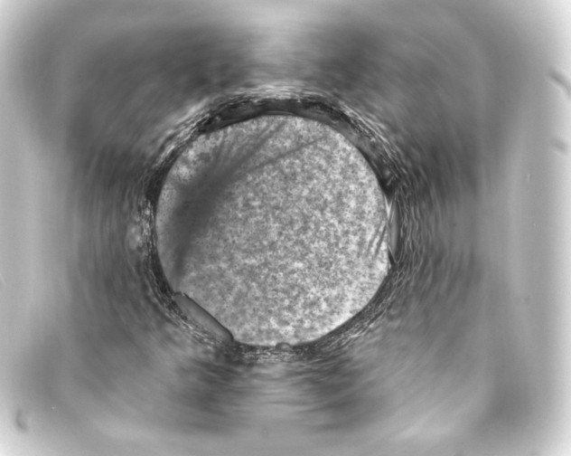 X0000093171349200710241031