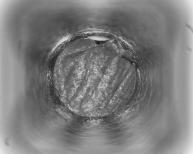 X0000093171351200710241031