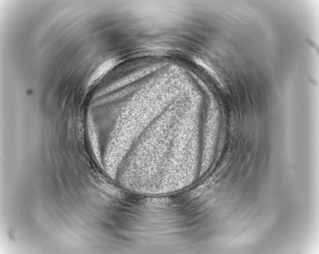 X0000093171354200710241031