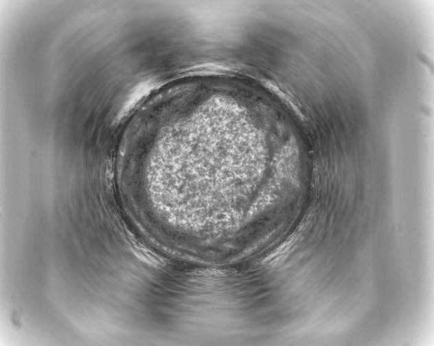 X0000093171355200710241031