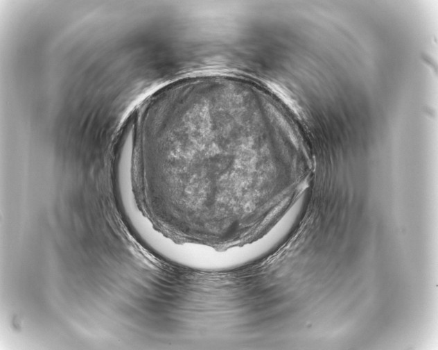 X0000093171356200710241031