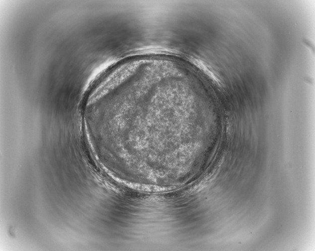 X0000093171358200710241031