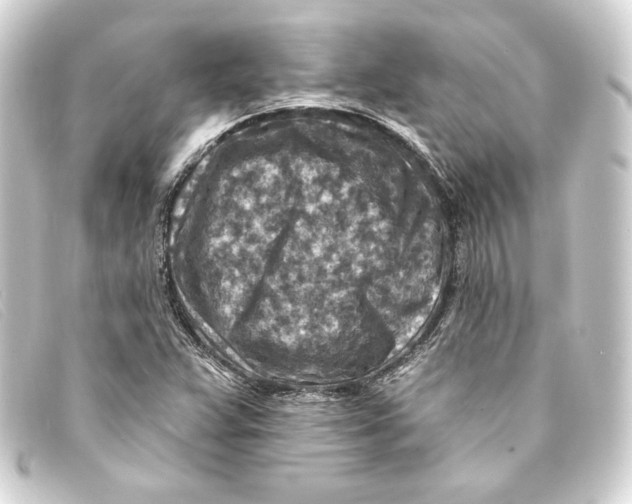 X0000093171359200710241031