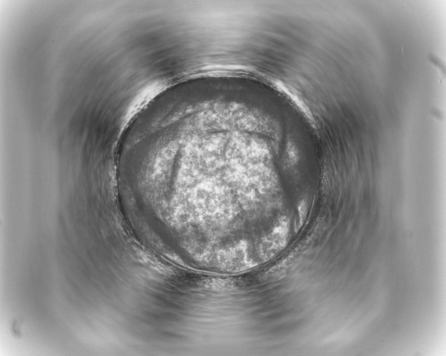 X0000093171362200710241031