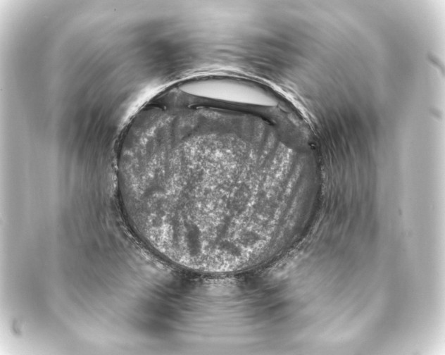 X0000093171363200710241031