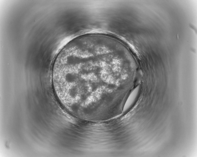 X0000093171367200710241031