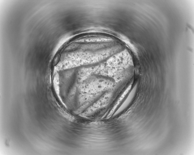 X0000093171368200710241031