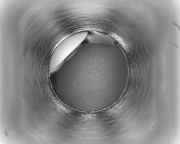 X0000093171369200710241031