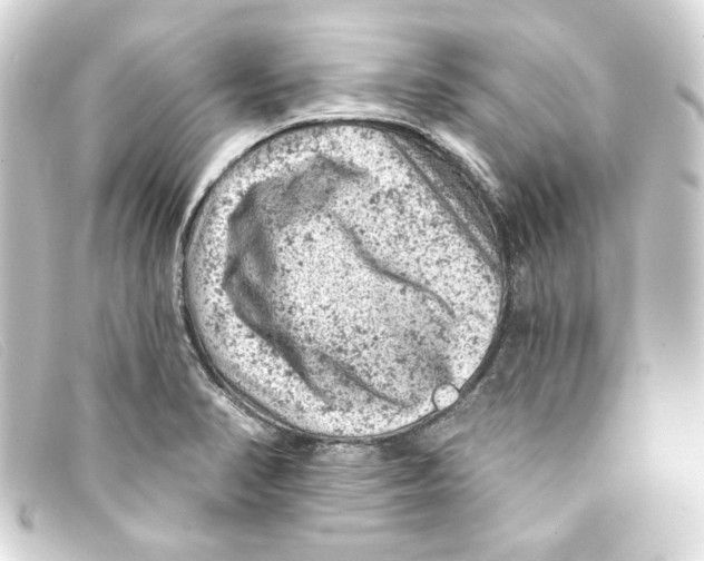 X0000093171374200710241031