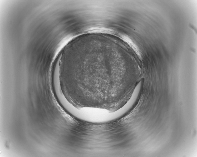 X0000093171376200710241031