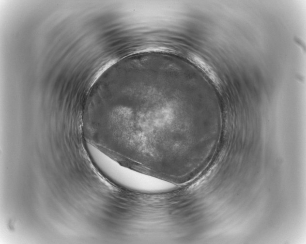 X0000093171377200710241031