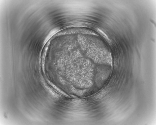 X0000093171378200710241031