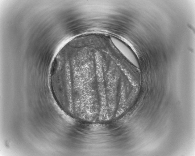 X0000093171379200710241031