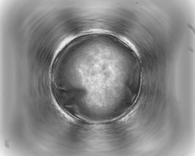 X0000093171381200710241031